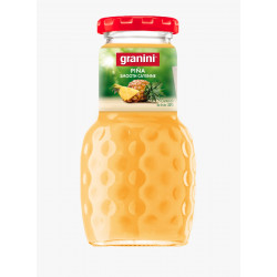 GRANINI 200 cl PINYA CAIXA 24 UNITATS