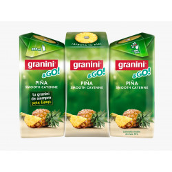 GRANINI BRICK 200 cl PINYA...